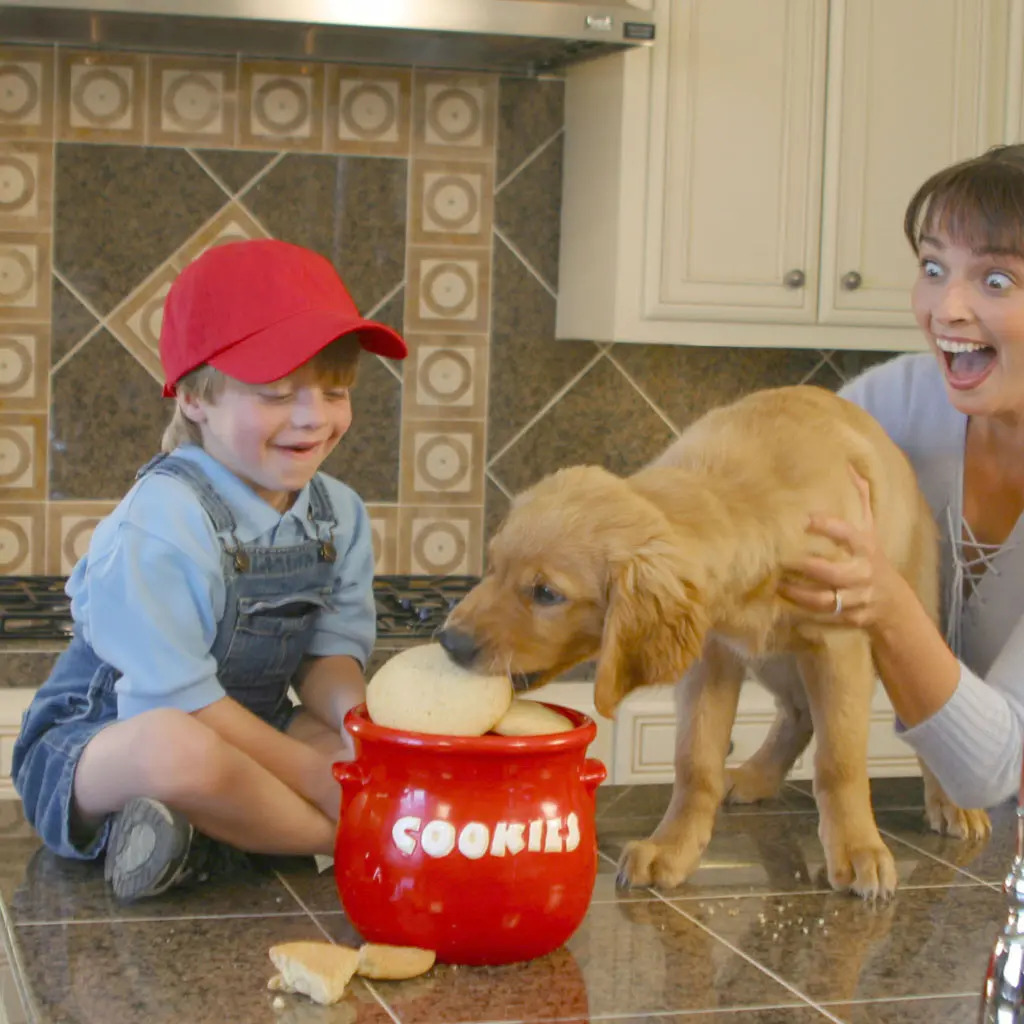dog and boy